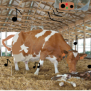 Fotografie de profil a lui Remus Rughinis