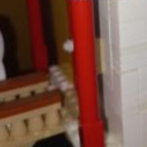 Fotografie de profil a lui Matei Mogildea