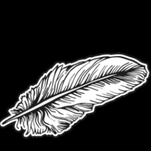 Fotografie de profil a lui Andrei Pana